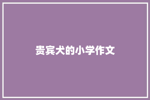 贵宾犬的小学作文 简历模板