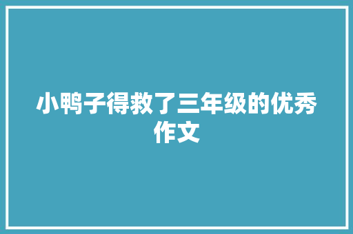 小鸭子得救了三年级的优秀作文 词汇积累