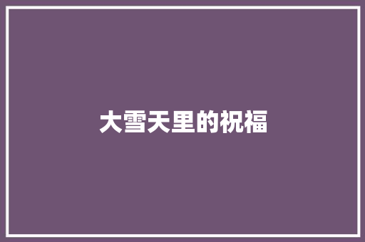 大雪天里的祝福