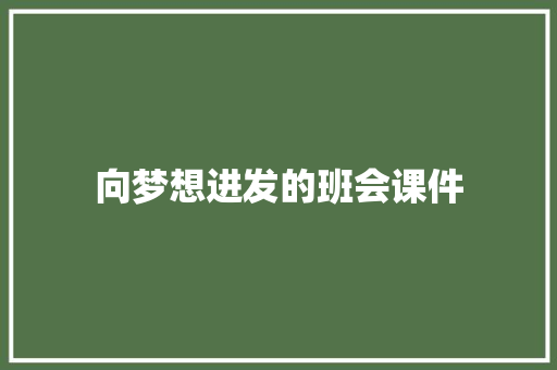 向梦想进发的班会课件