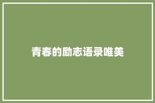 青春的励志语录唯美