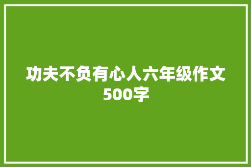 功夫不负有心人六年级作文500字 词汇积累