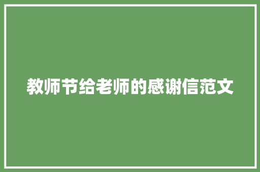 教师节给老师的感谢信范文 词汇积累