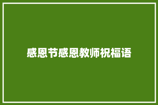 感恩节感恩教师祝福语 商业文案