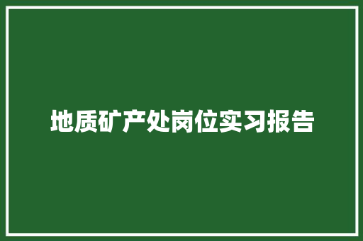 地质矿产处岗位实习报告 报告写作