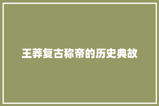 王莽复古称帝的历史典故 词汇积累