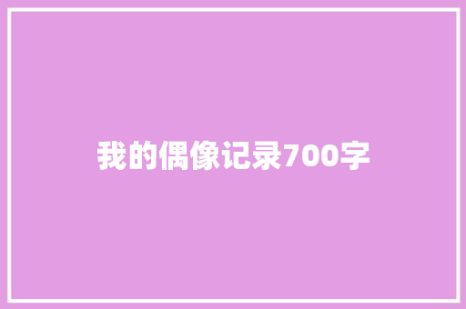 我的偶像记录700字
