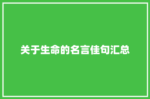关于生命的名言佳句汇总 商业文案