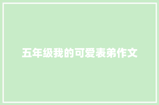 五年级我的可爱表弟作文