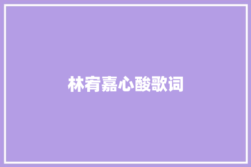 林宥嘉心酸歌词 报告写作