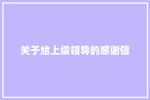关于给上级领导的感谢信 简历模板