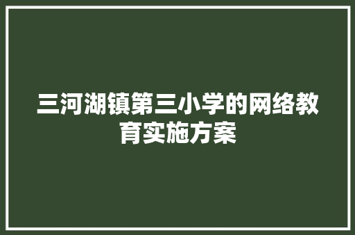 三河湖镇第三小学的网络教育实施方案 简历模板