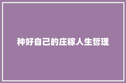 种好自己的庄稼人生哲理 范文赏析