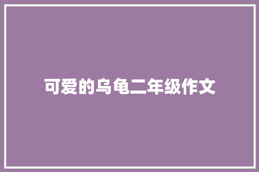 可爱的乌龟二年级作文
