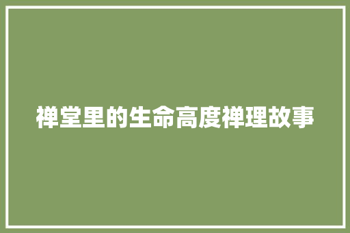 禅堂里的生命高度禅理故事