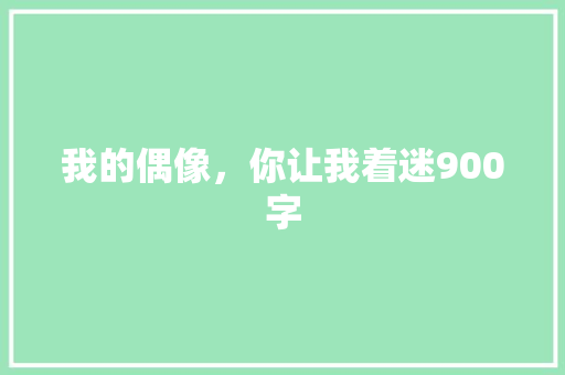 我的偶像，你让我着迷900字 词汇积累