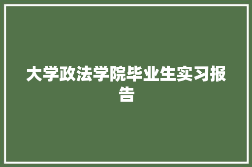 大学政法学院毕业生实习报告