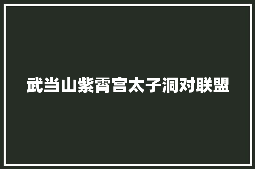 武当山紫霄宫太子洞对联盟