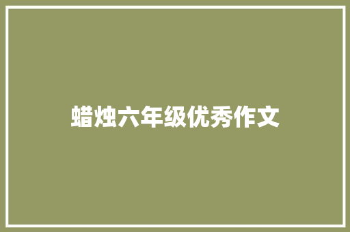 蜡烛六年级优秀作文 词汇积累