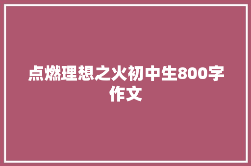 点燃理想之火初中生800字作文 简历模板