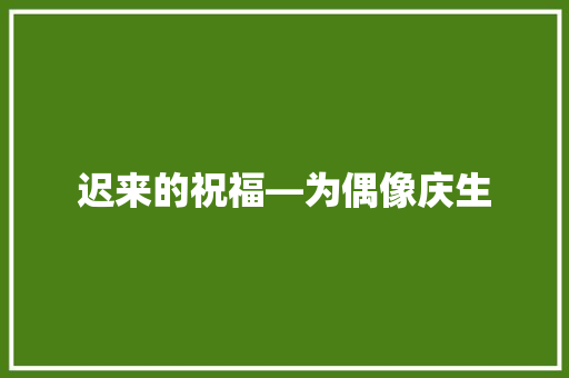 迟来的祝福―为偶像庆生 报告写作