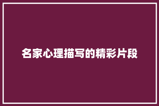 名家心理描写的精彩片段 简历模板