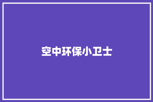 空中环保小卫士 词汇积累