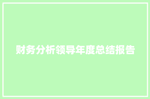 财务分析领导年度总结报告 词汇积累