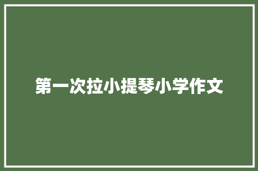 第一次拉小提琴小学作文 范文赏析