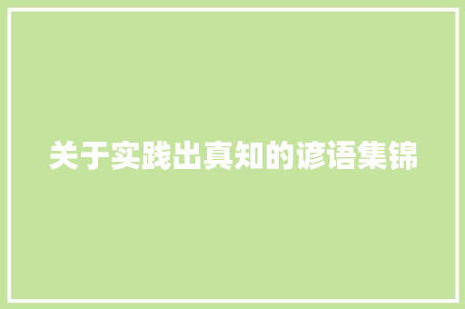 关于实践出真知的谚语集锦 词汇积累