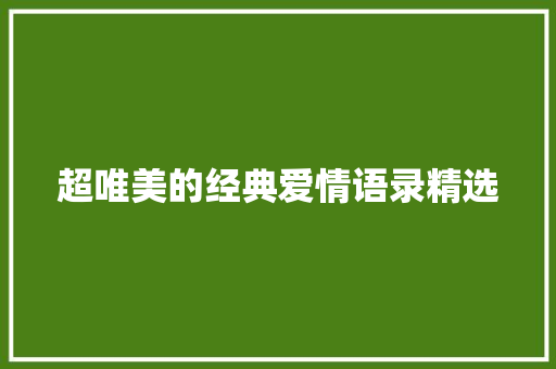 超唯美的经典爱情语录精选 报告写作