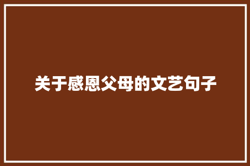 关于感恩父母的文艺句子 词汇积累