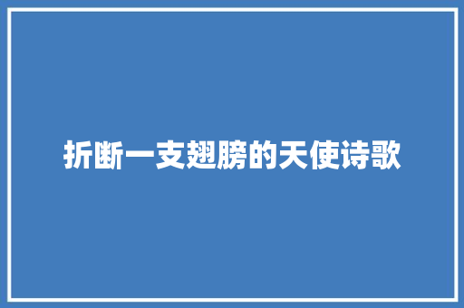 折断一支翅膀的天使诗歌 商业文案