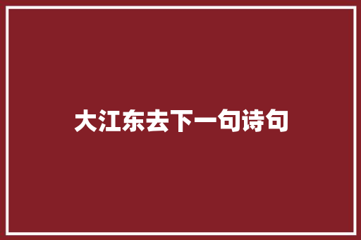 大江东去下一句诗句