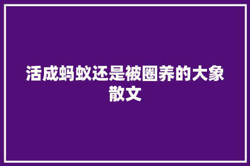 活成蚂蚁还是被圈养的大象散文 范文赏析