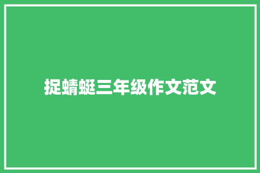 捉蜻蜓三年级作文范文 范文赏析