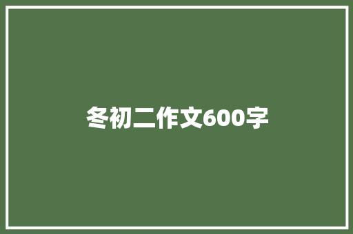 冬初二作文600字