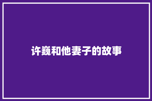 许巍和他妻子的故事 词汇积累
