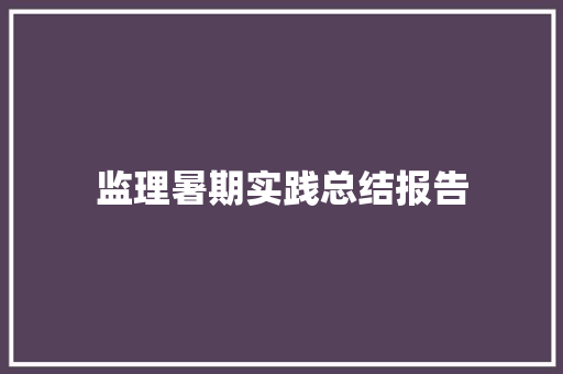 监理暑期实践总结报告