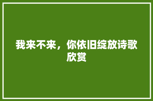 我来不来，你依旧绽放诗歌欣赏 写作社区