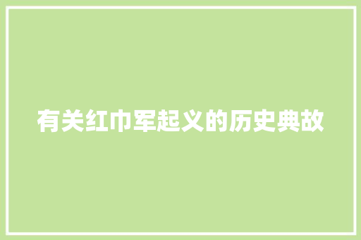 有关红巾军起义的历史典故 写作素材