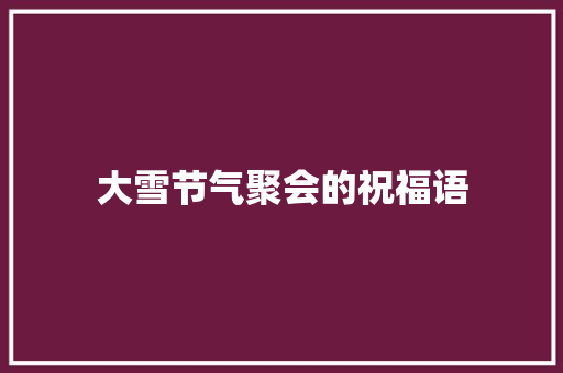 大雪节气聚会的祝福语 商业文案