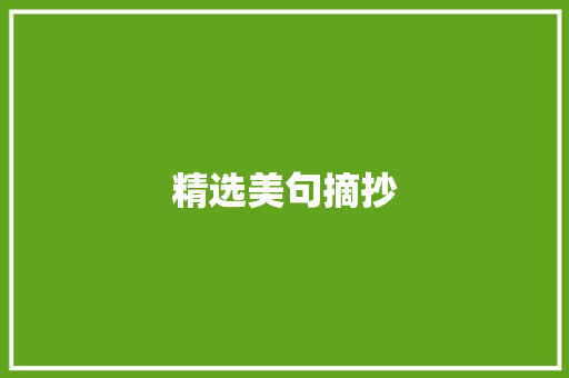 精选美句摘抄 写作技巧
