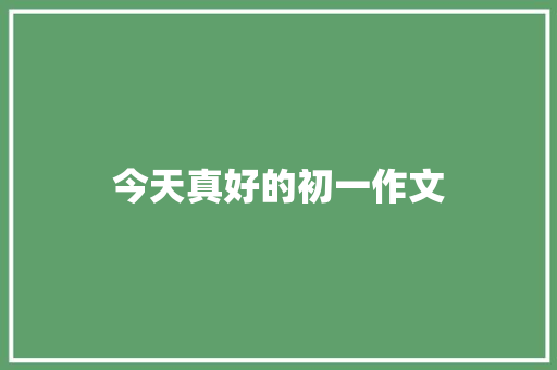 今天真好的初一作文 词汇积累