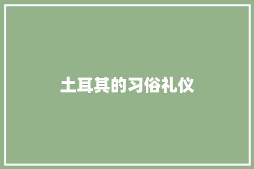 土耳其的习俗礼仪 写作素材