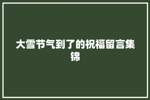 大雪节气到了的祝福留言集锦
