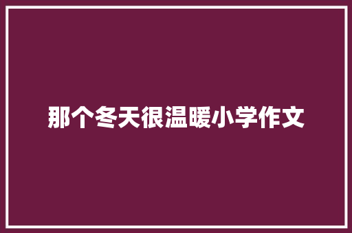 那个冬天很温暖小学作文 简历模板