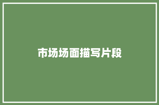 市场场面描写片段 写作技巧
