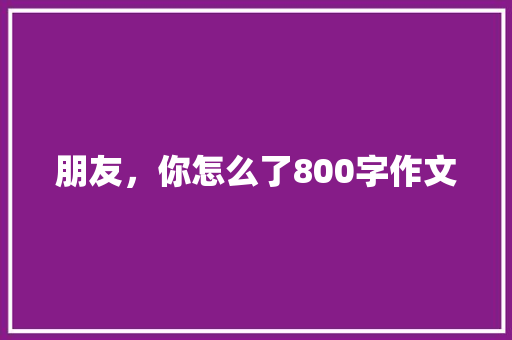 朋友，你怎么了800字作文 词汇积累