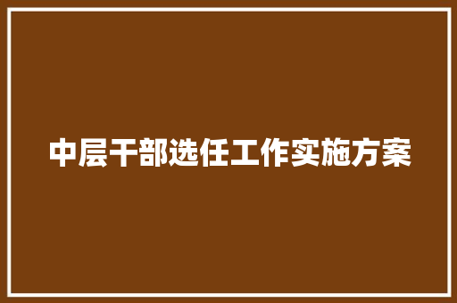 中层干部选任工作实施方案 写作社区